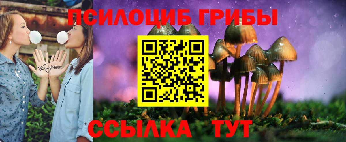 Тверь  что такое   Вход с VPN  Галлюциногенные грибы мицелий 